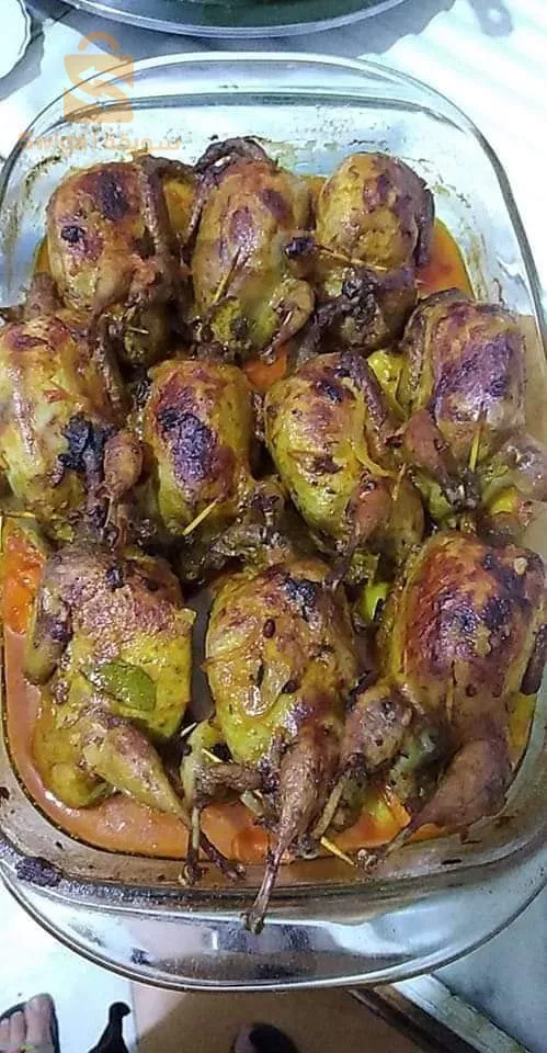 المدية