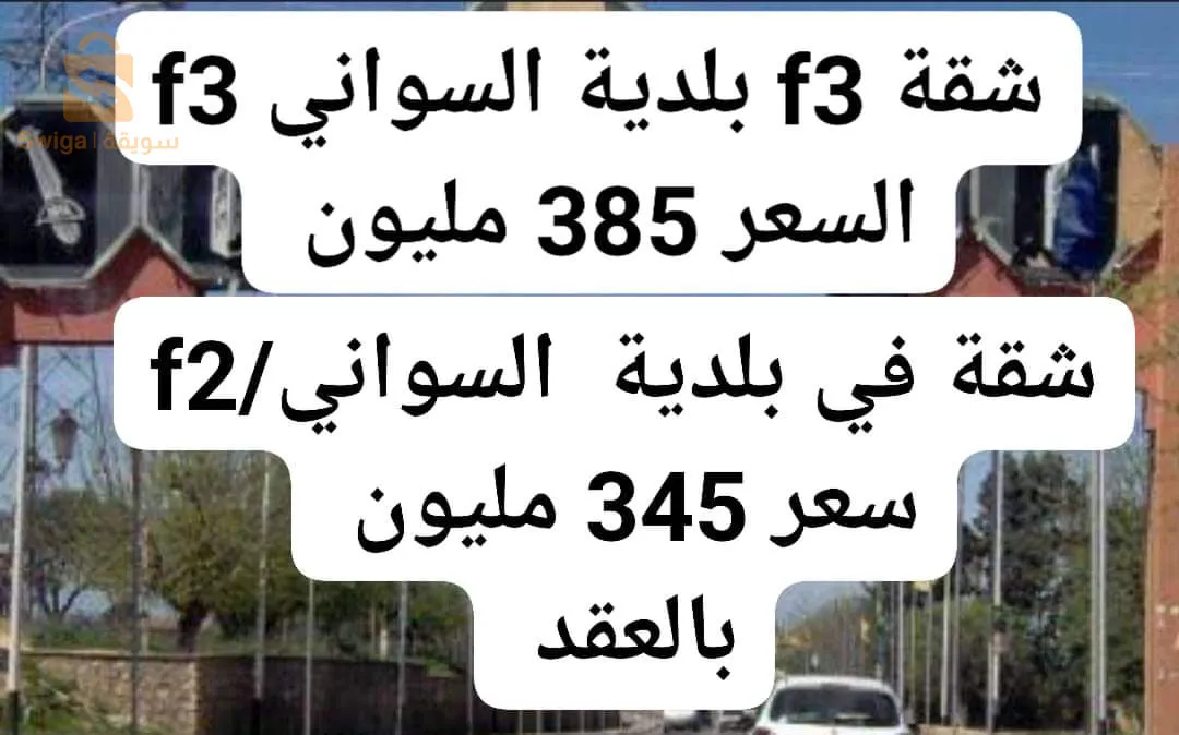 السواني تلمسان