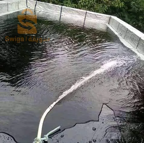 ايطونشيتي