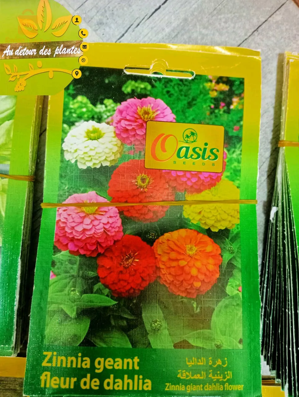 بذور ذات جودةعالية
