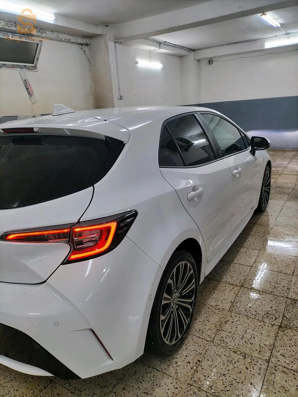 الجزائر