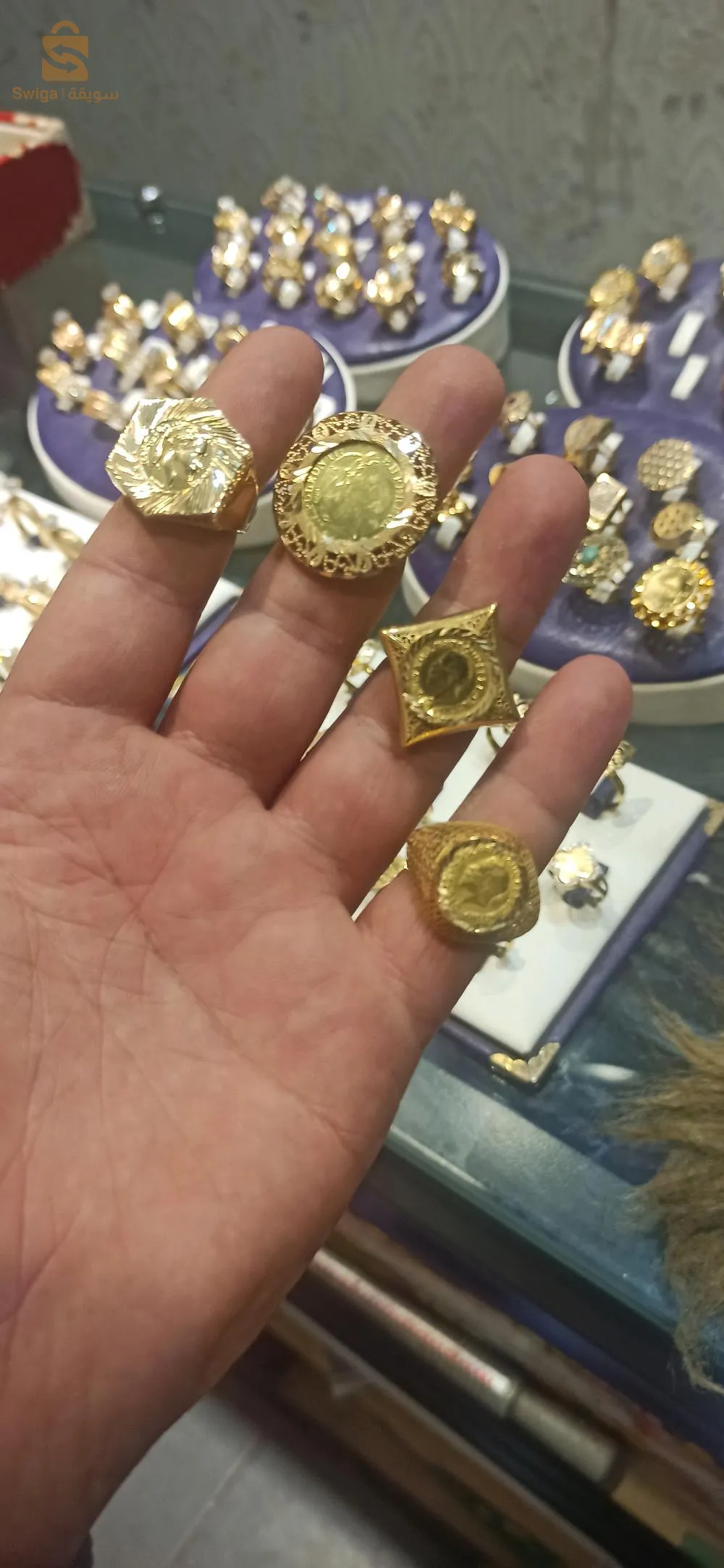 مدينة الجديدة