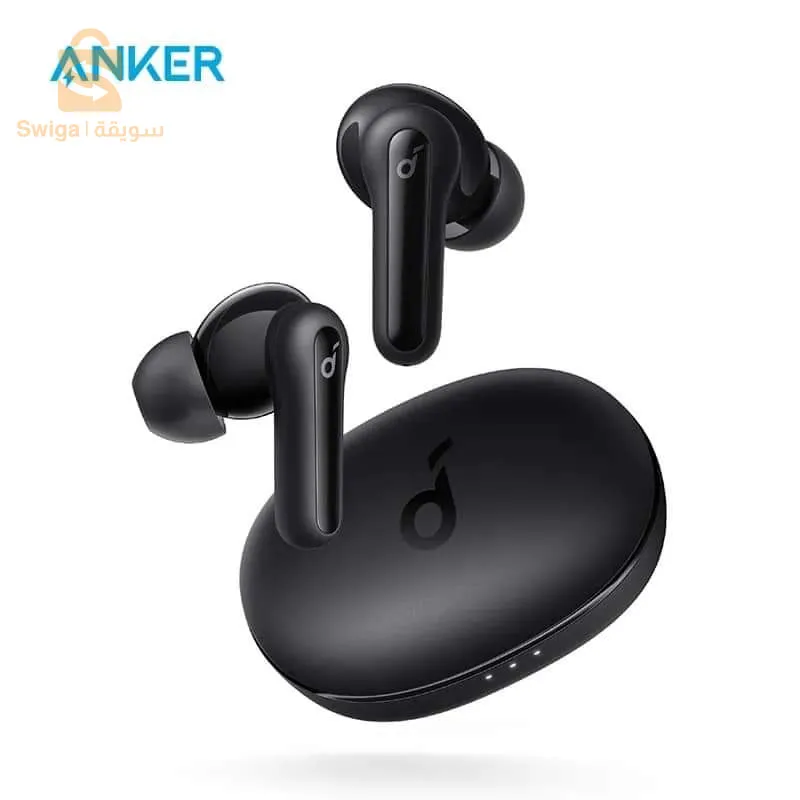 Anker life P2 mini