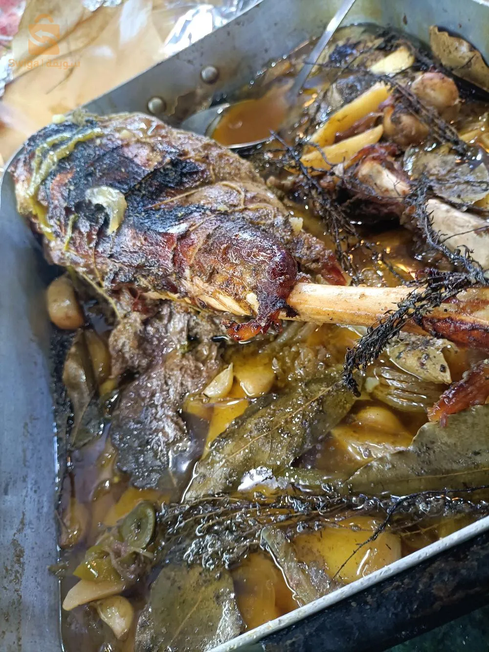 طباخ