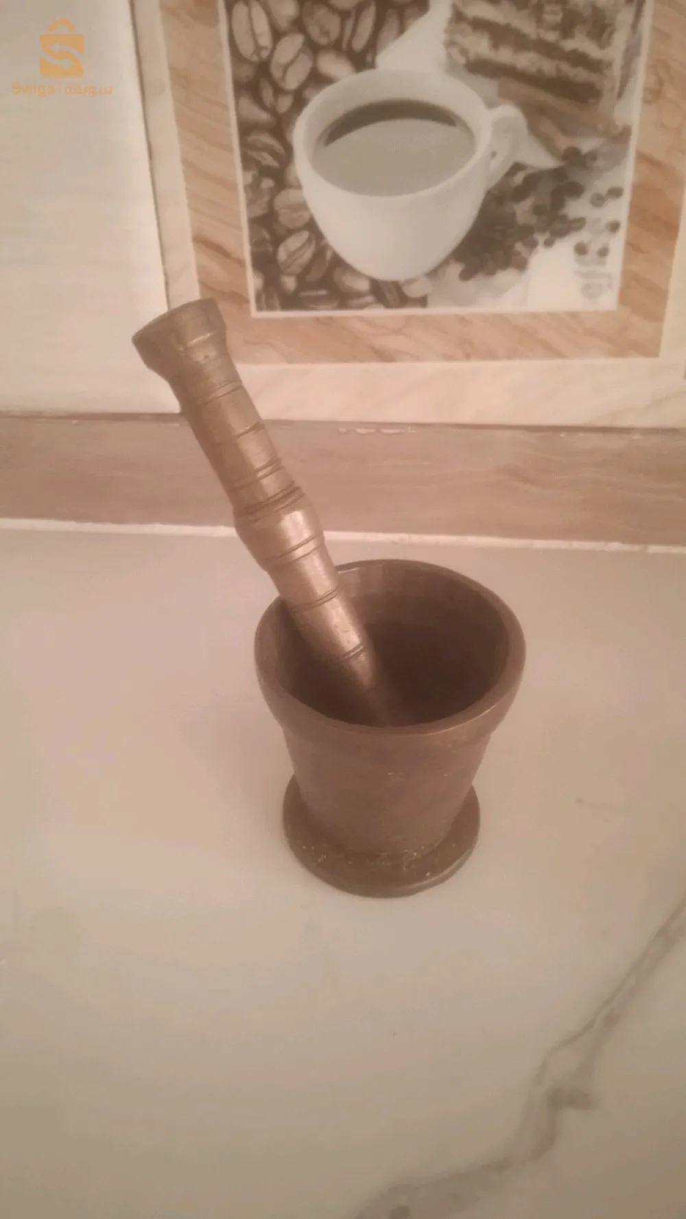 الجزائر الوسطي