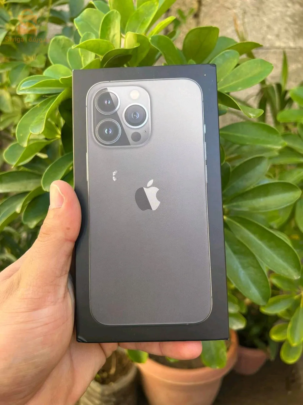 13 Pro