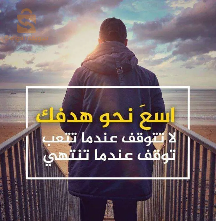 دعاية وتسويق