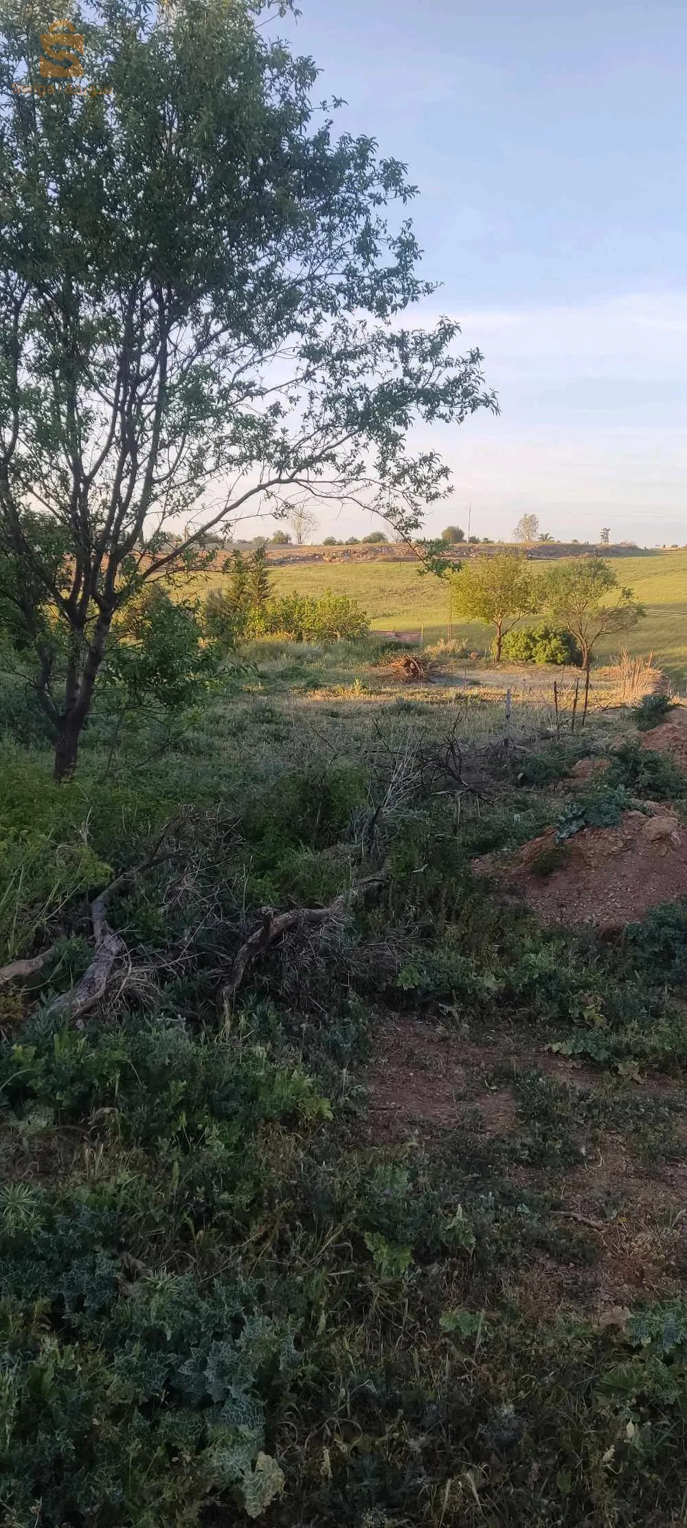 شتوان عين الحوت