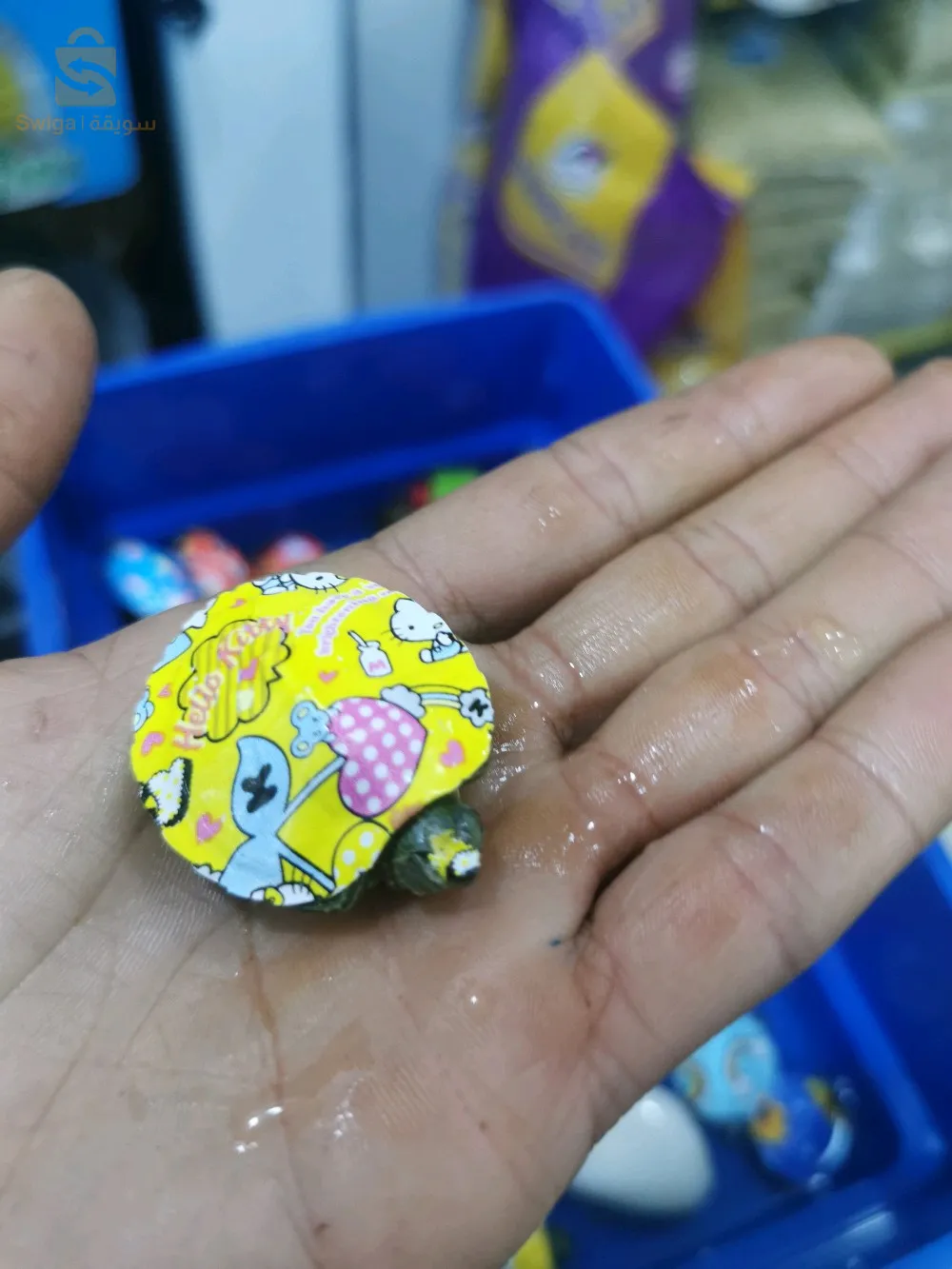 سلاحف برمائية مستوردة