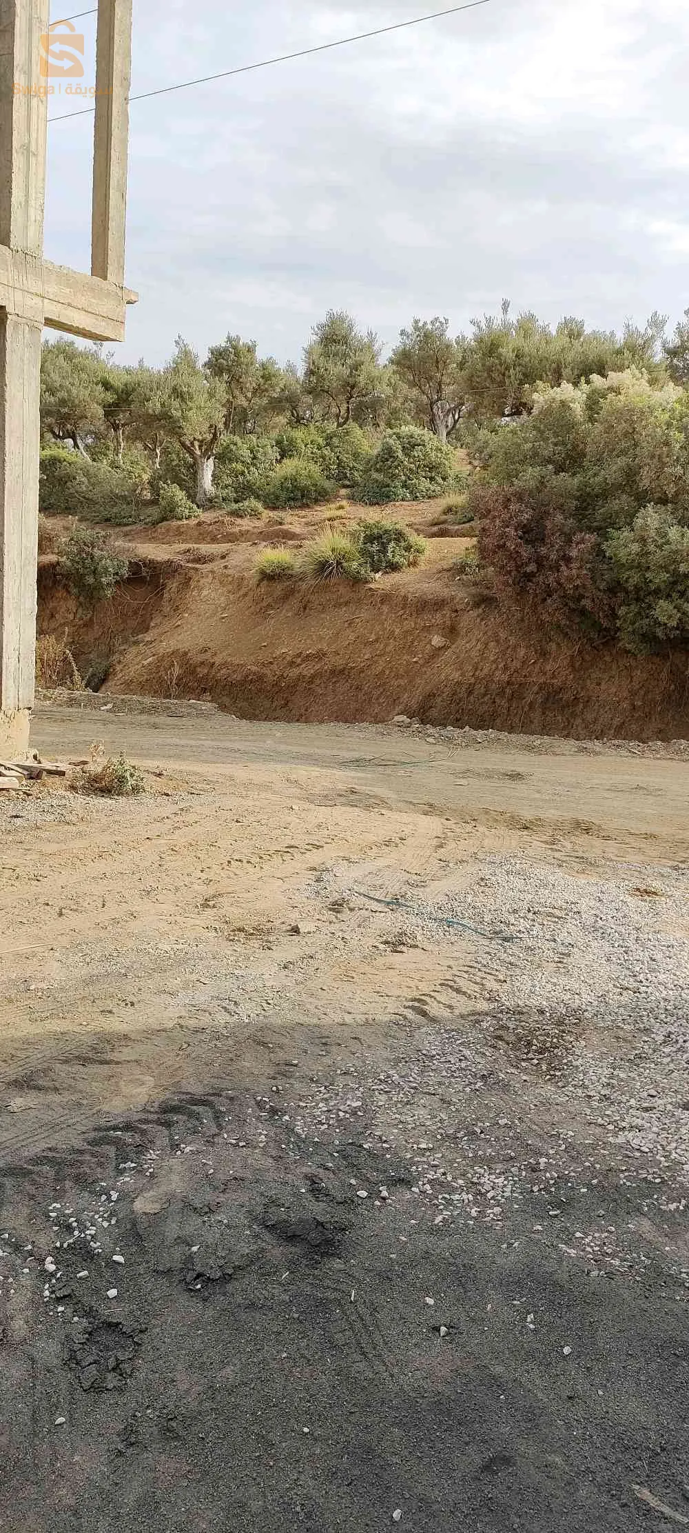 بيع قطعة ارض عمرانية مسطحة