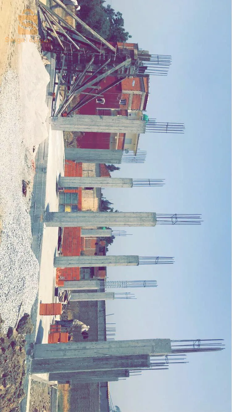 حي طويلب