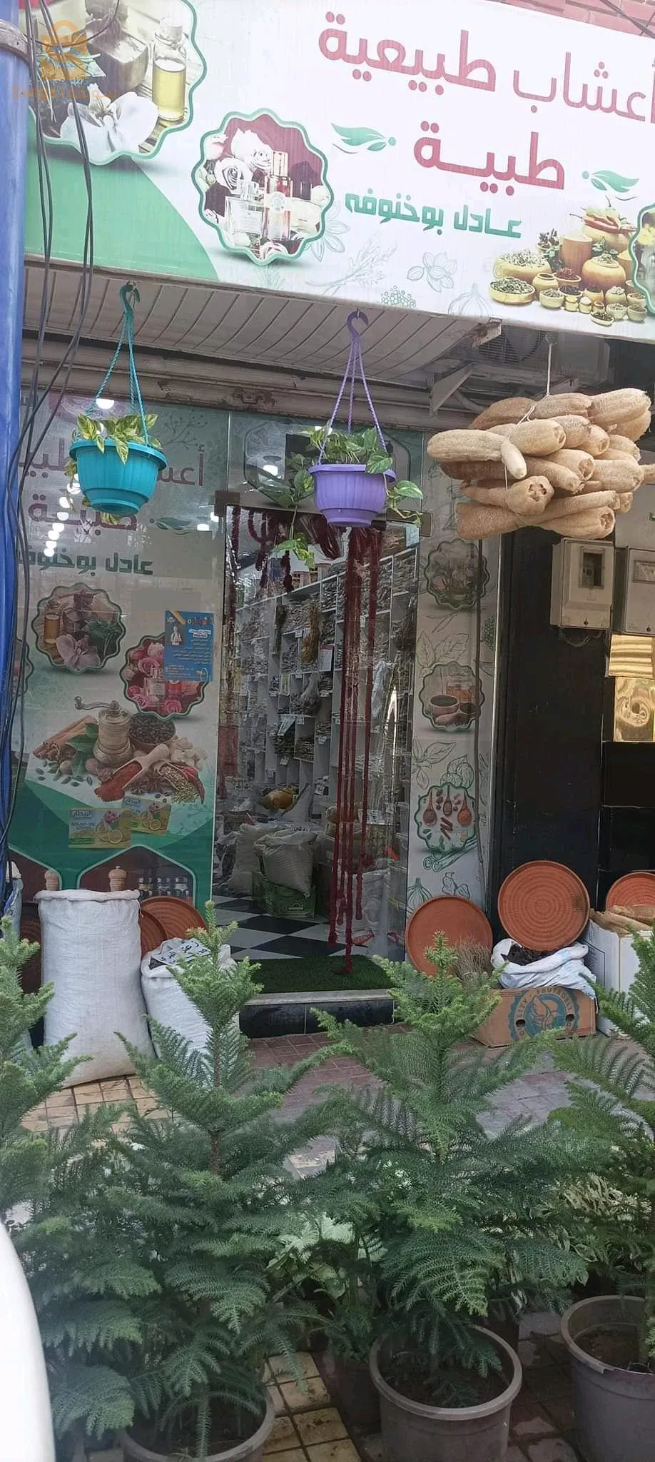 مقابل مركز الأمومة و الطفولة الطاهير ولاية جيجل