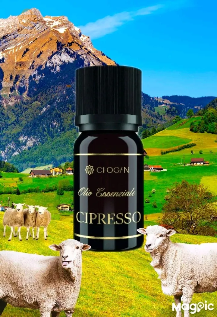 الزيوت الاساسية من شوڨان 
Huiles essentielles de chogan
