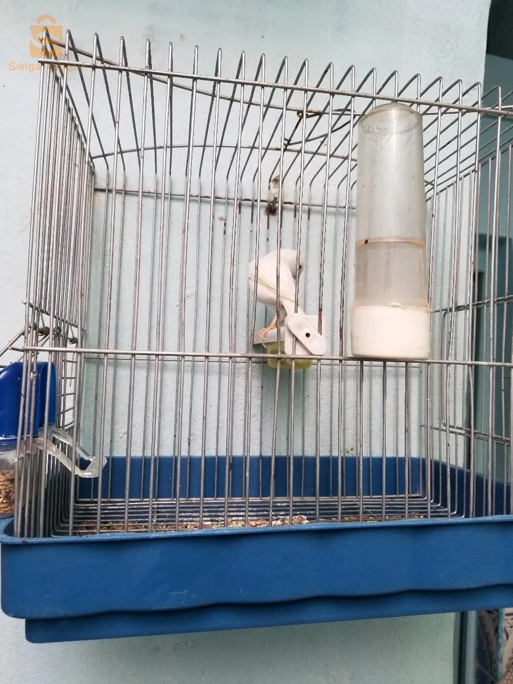 يوسفي اسماعيل