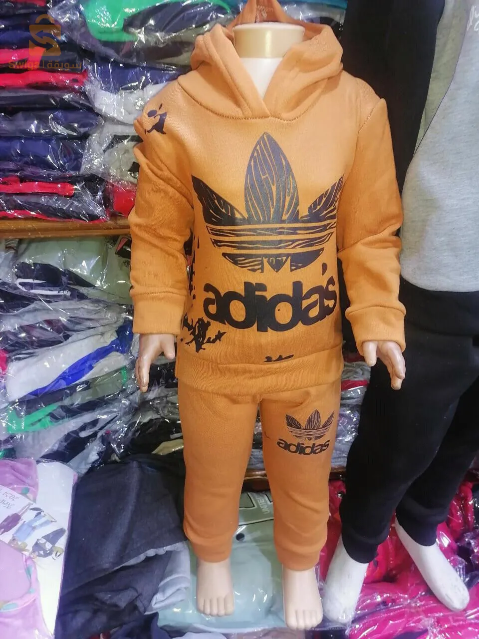 جملة فقط