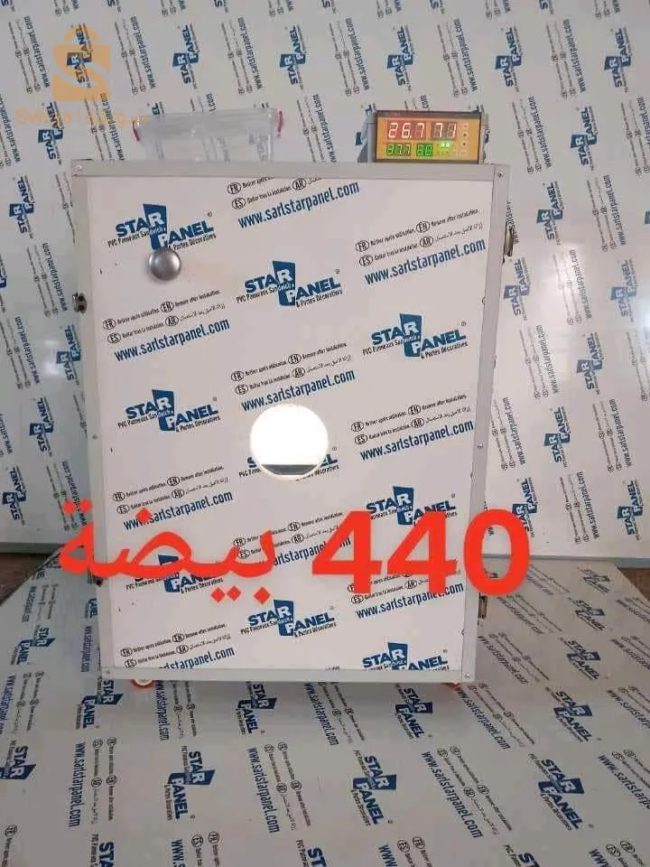 عين دفلي