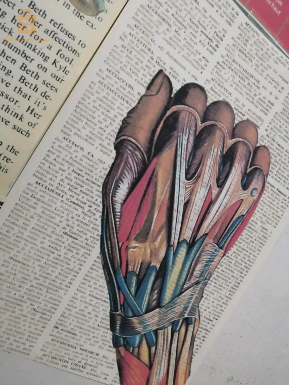 Bienvenue my little shop