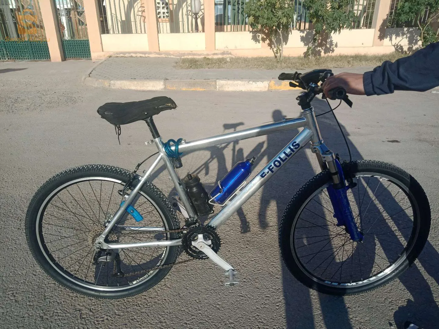 ولاية بسكرة