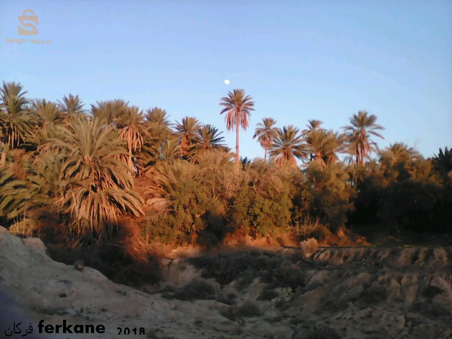 فركان ولاية تبسة