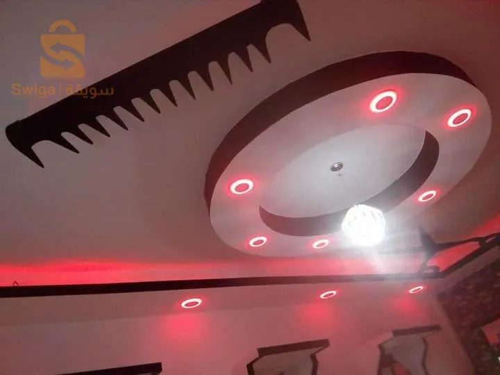 الأسقف البلاستيكية و أسقف البلاكو بلاتر