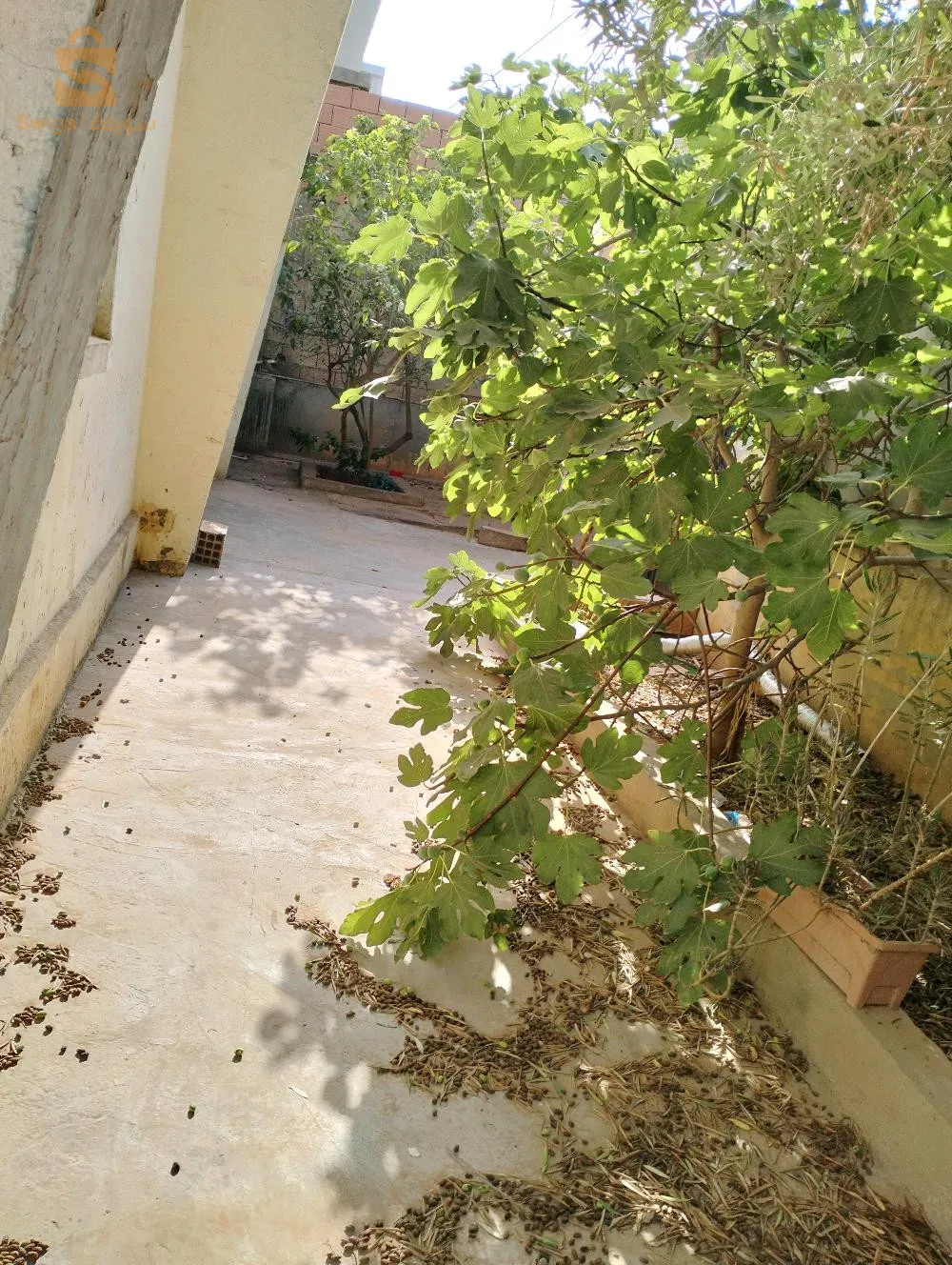 حي كاستور العائلي مرفال