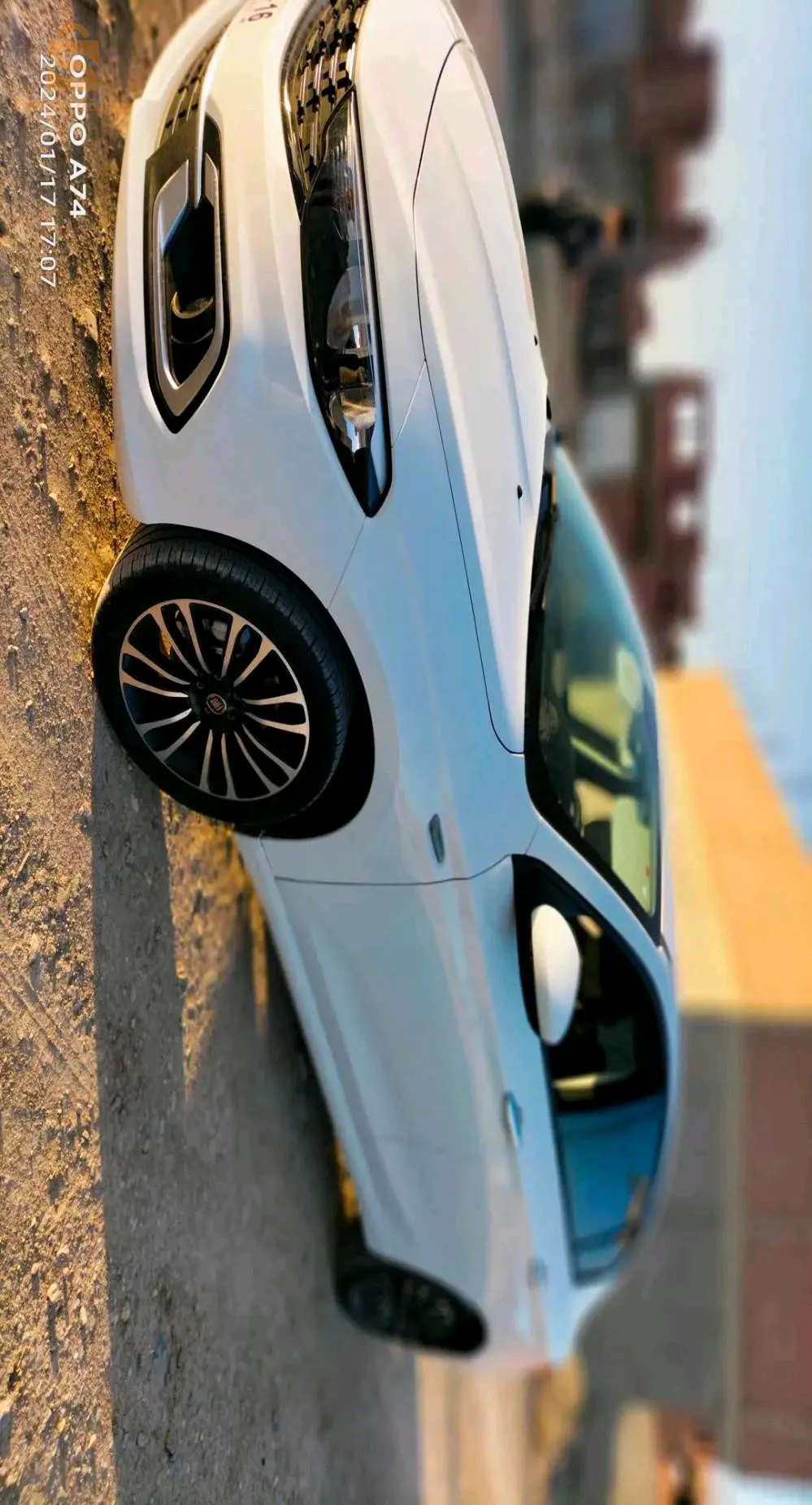 تيبو لايف بيضاء للبيع 00كونتور
