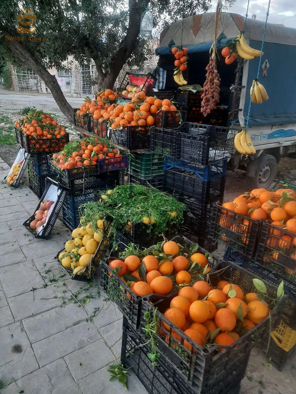 نقل البضائع