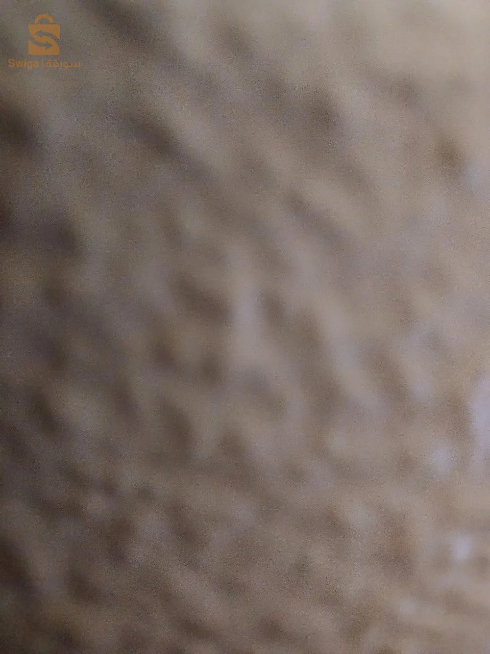 Terrain à vendre, Wilaya de Blida, hauteur montagneuse