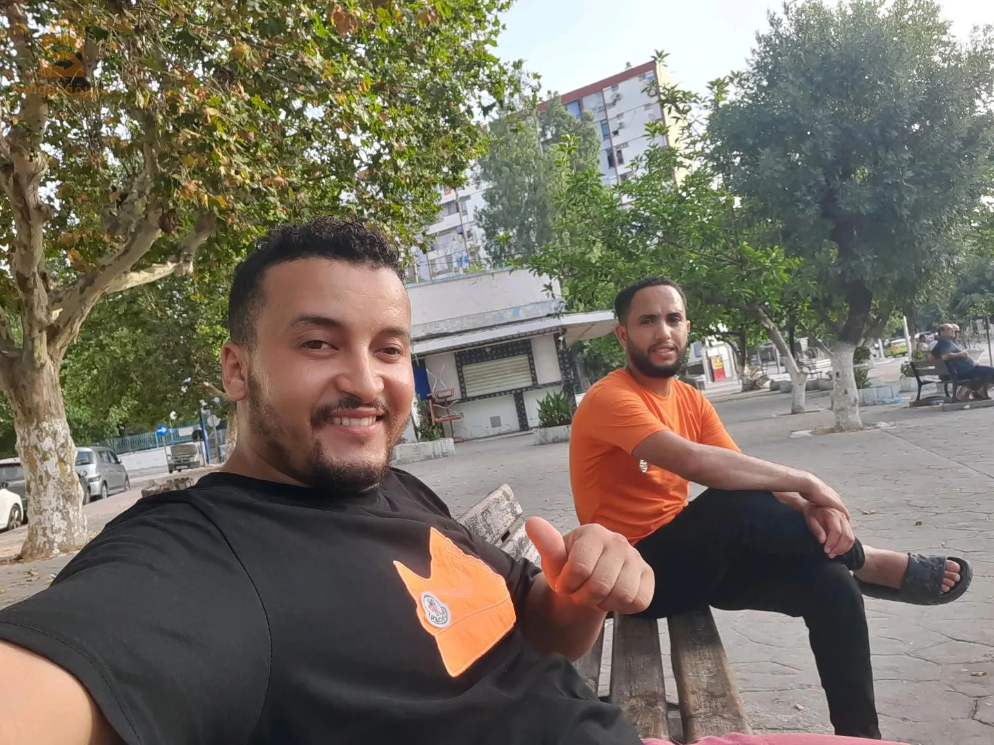 جميع ولاية الجزائر