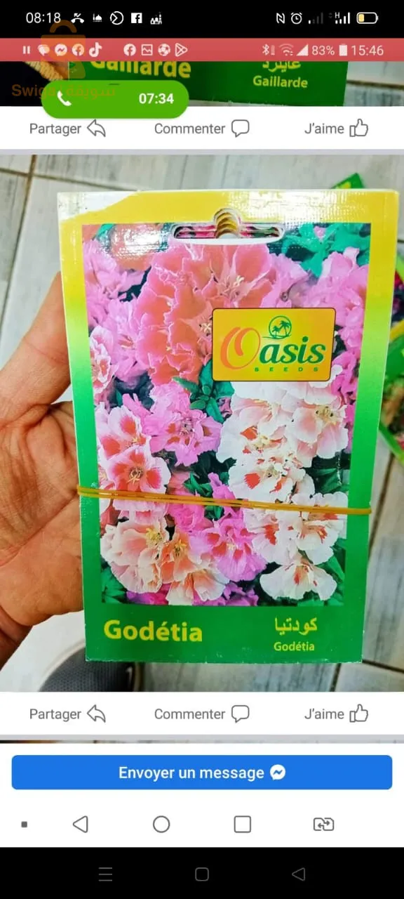 بذور ذات جودةعالية