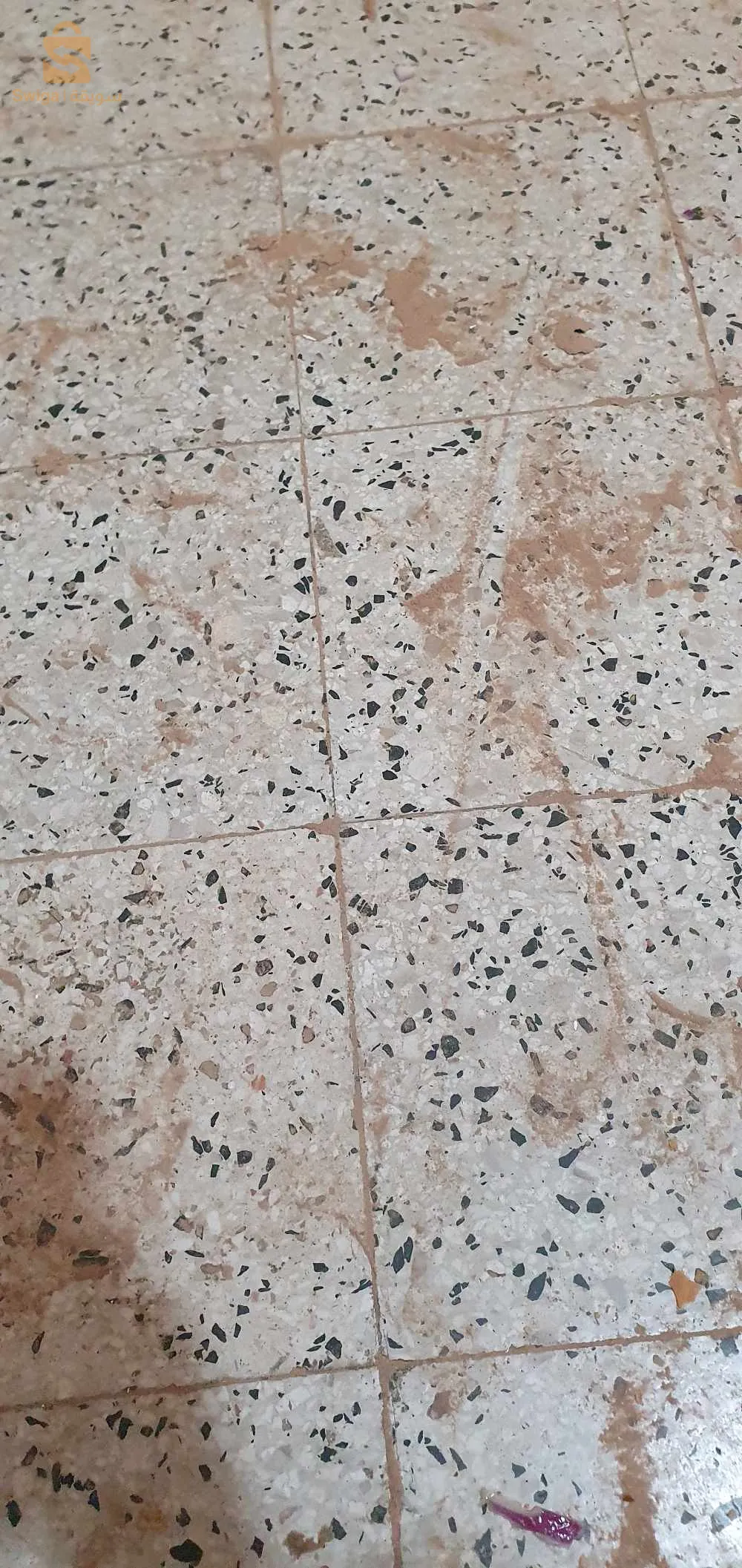 بومرداس زموري