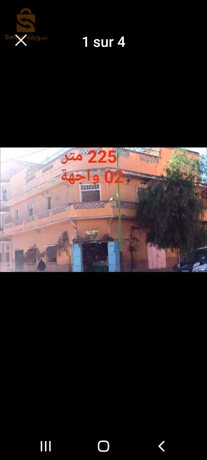 شارع الشهداء تيغنيف 
مع شارع سي العربي المشرقي تيغنيف.