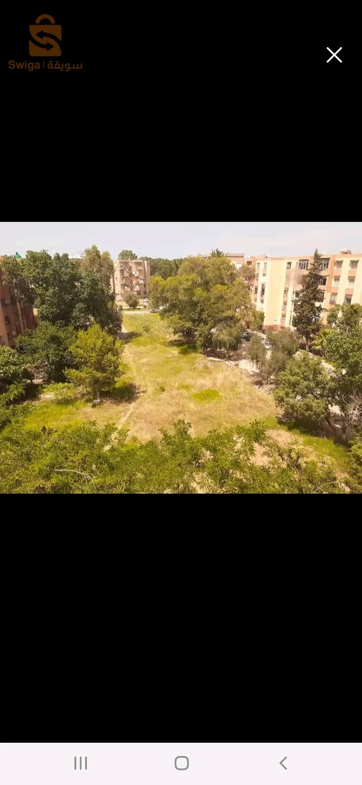 5 جويلية