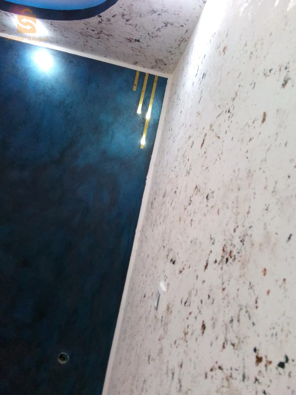 بانتر الجلفة 0779563880
