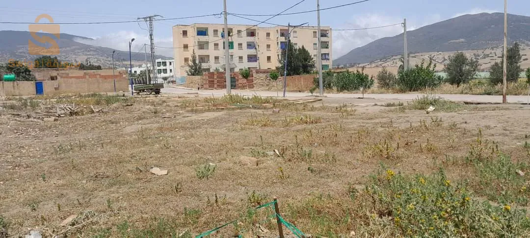 حي الزيتون تلعصة ابولحسان شلف