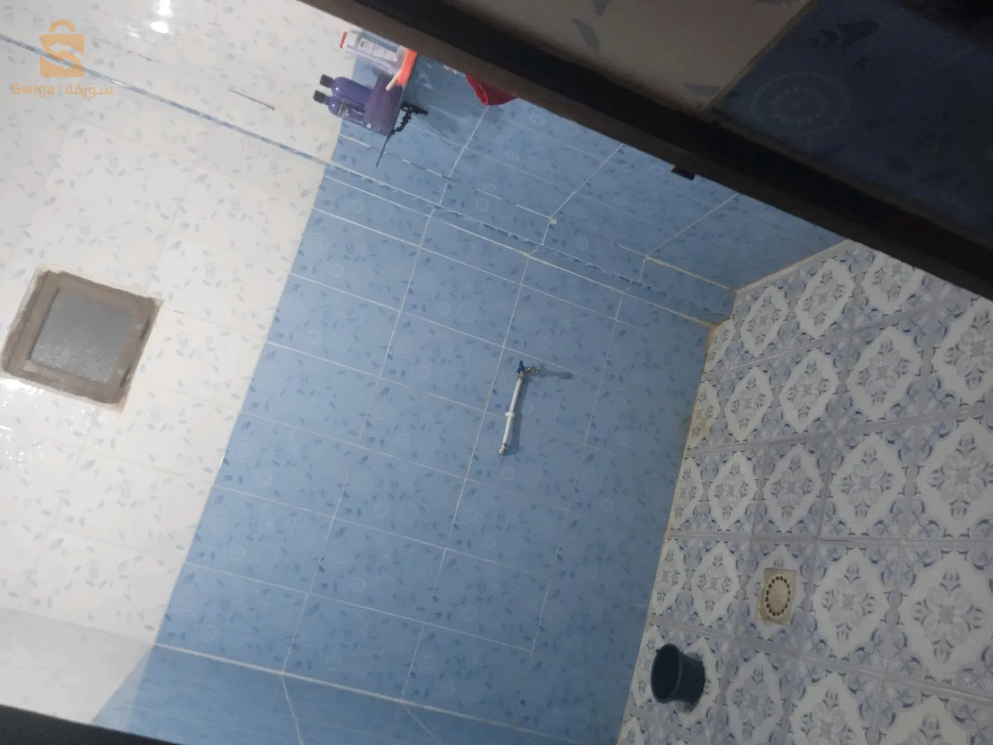 ولهاصة عين تموشنت