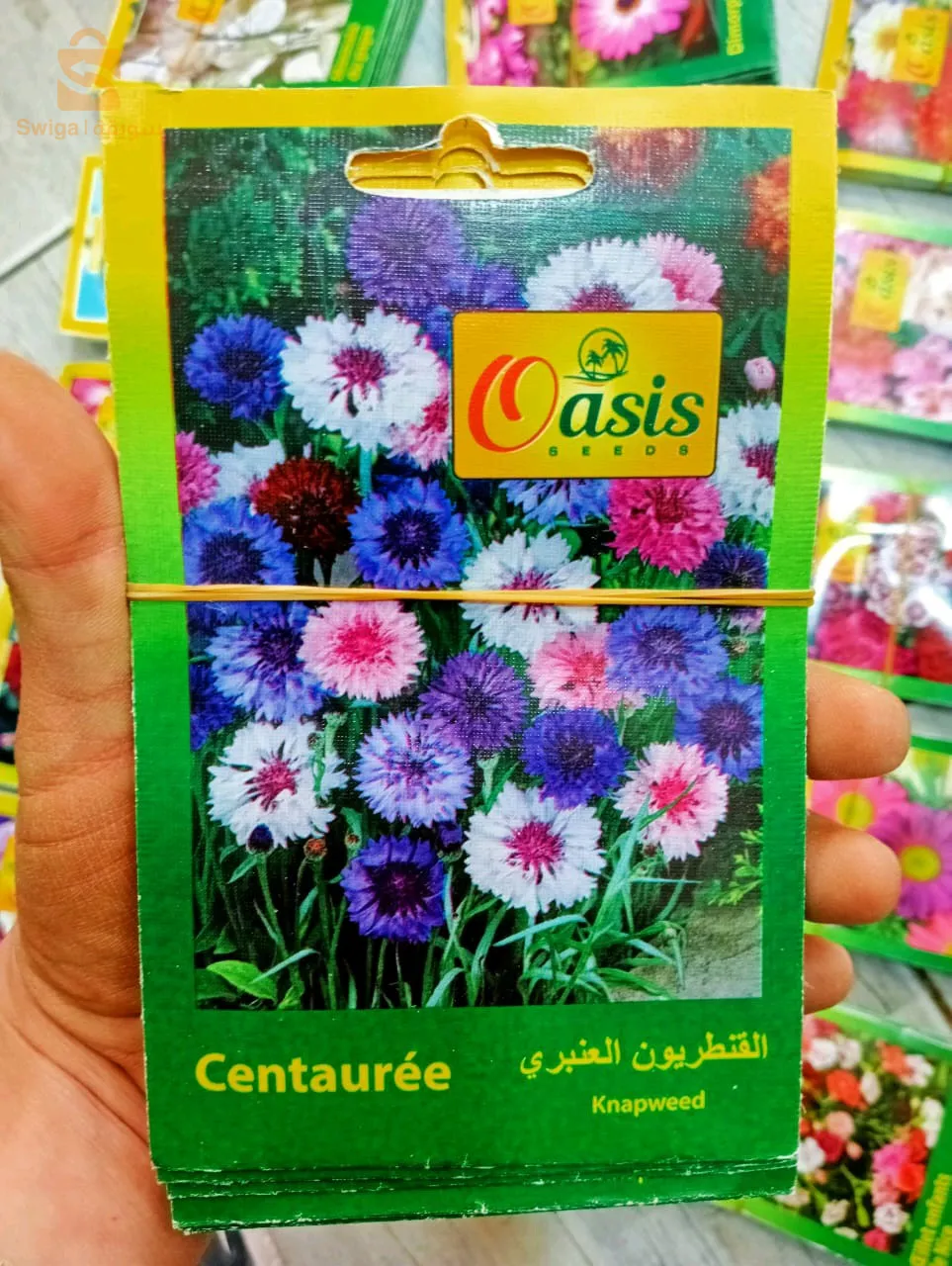 بذور ذات جودةعالية