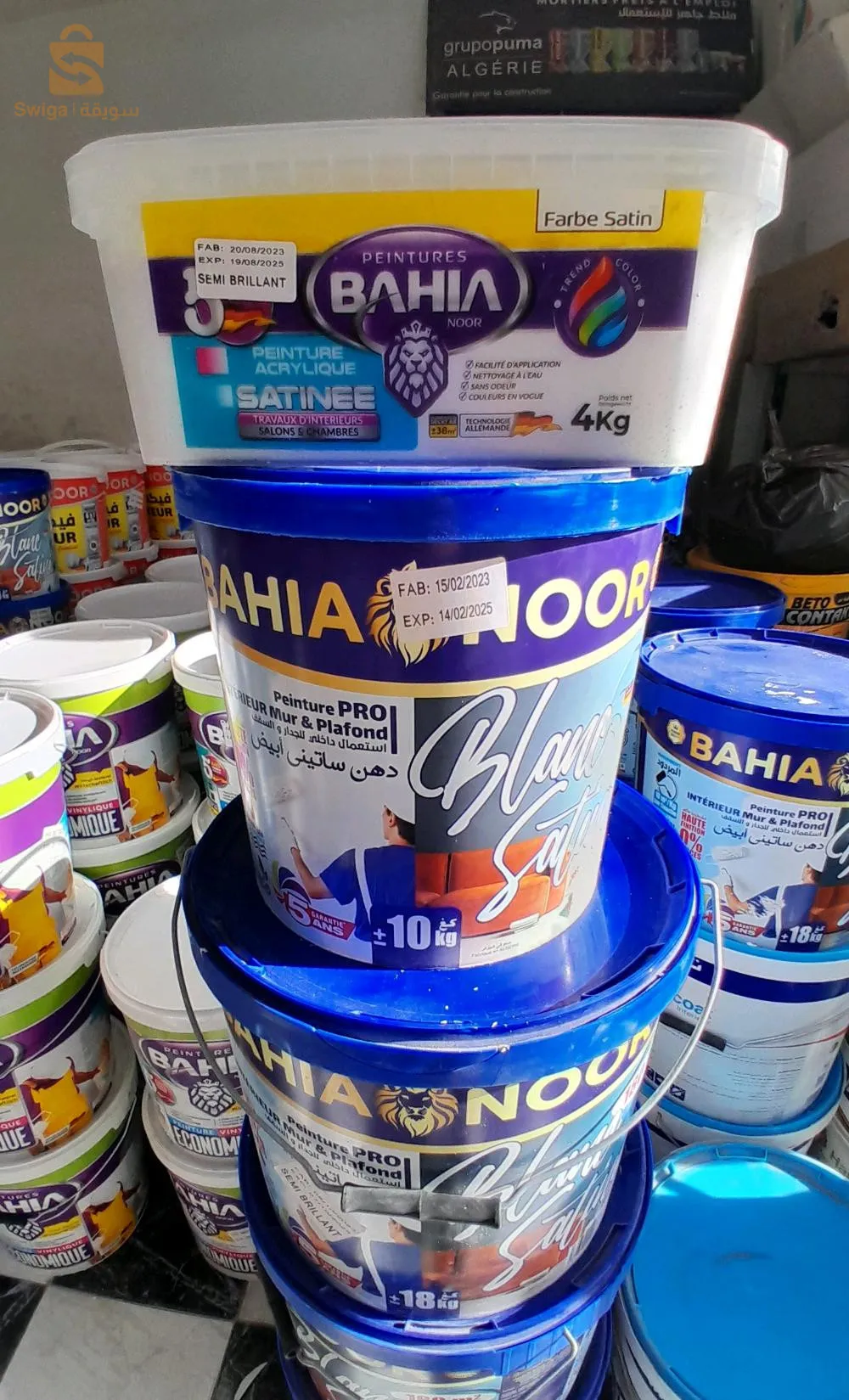 كاستور