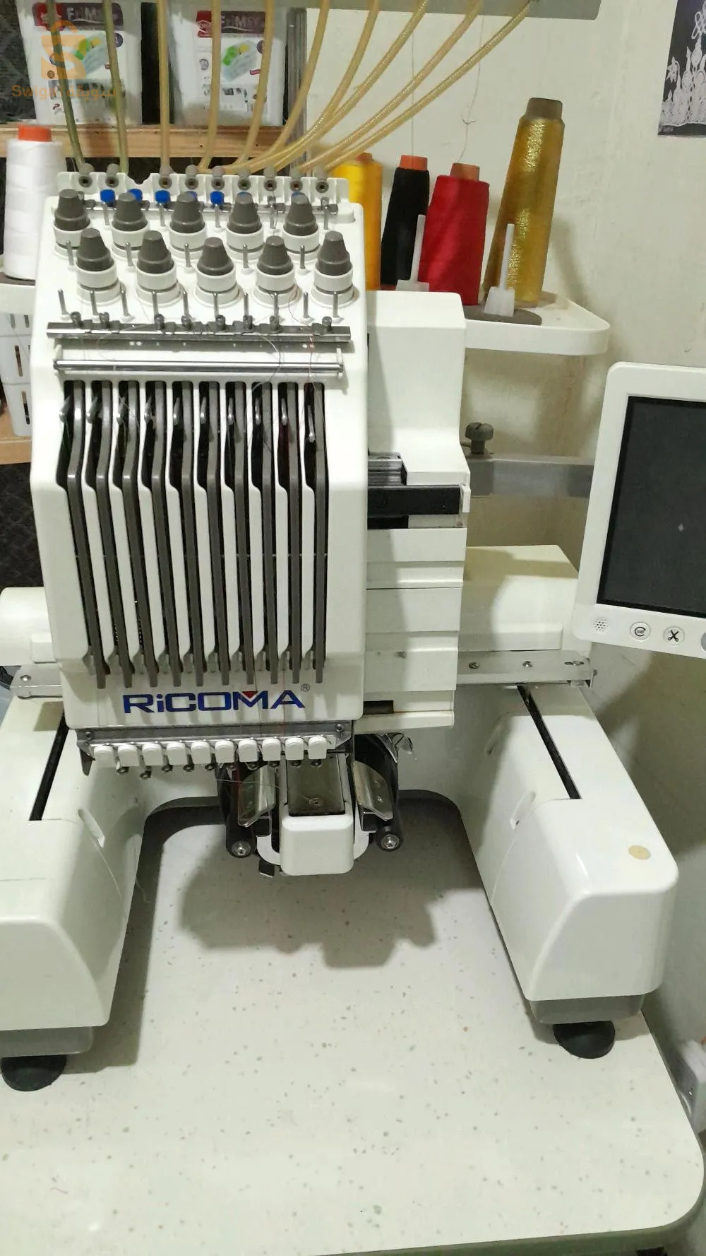 ايمامة تلمسان