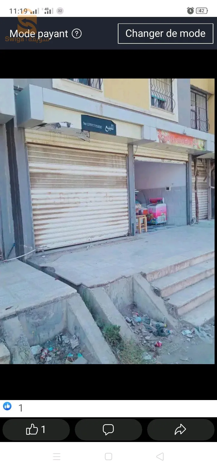 عدل 3100 بوينان البليدة