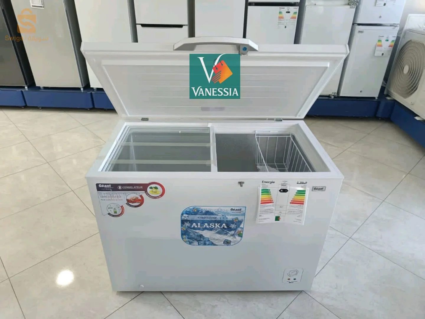 Congélateur géant 260L