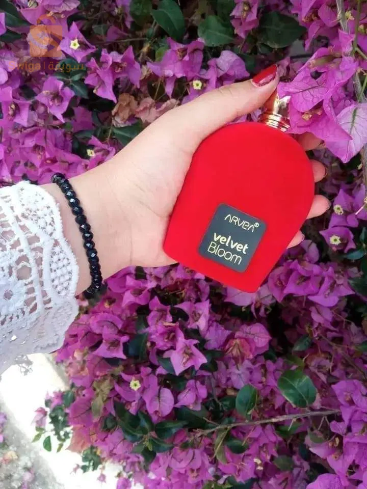 منتوجات ارفيا
