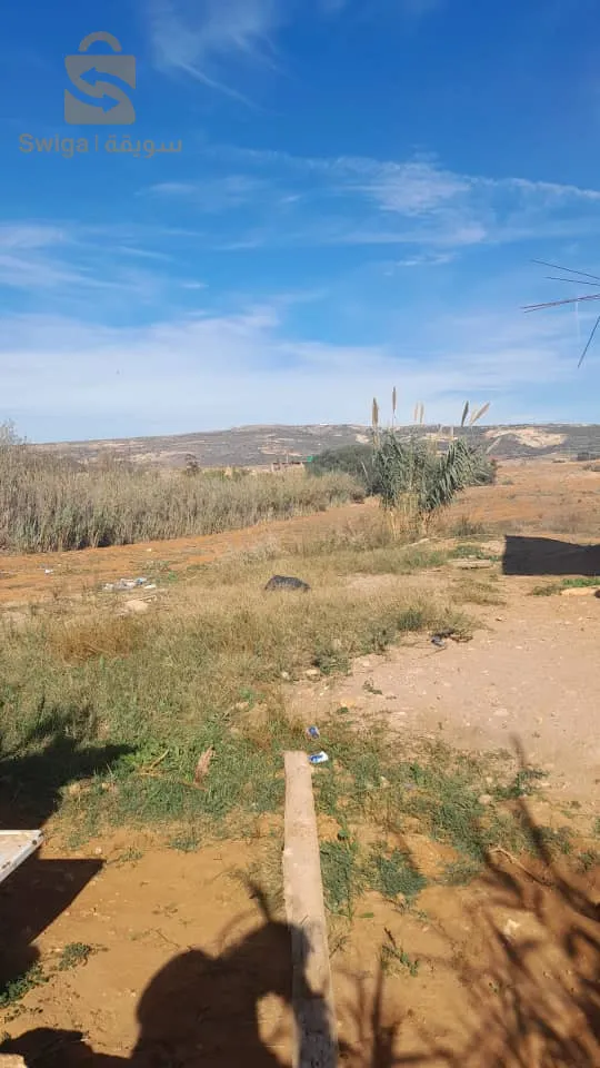 ارض للبيع