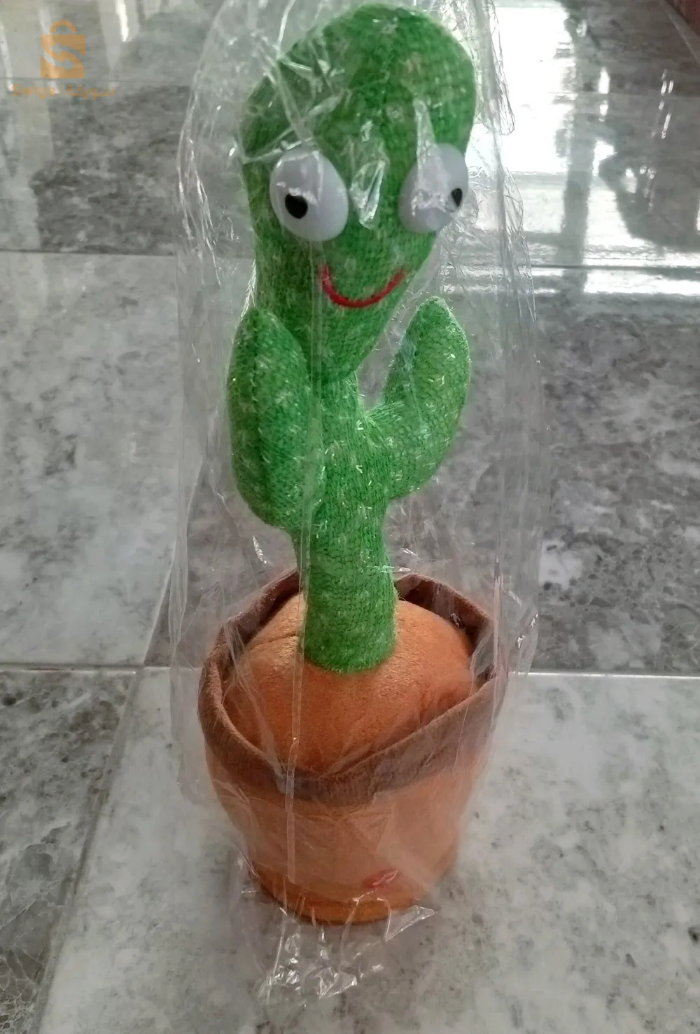 الصبارة المتكلمة