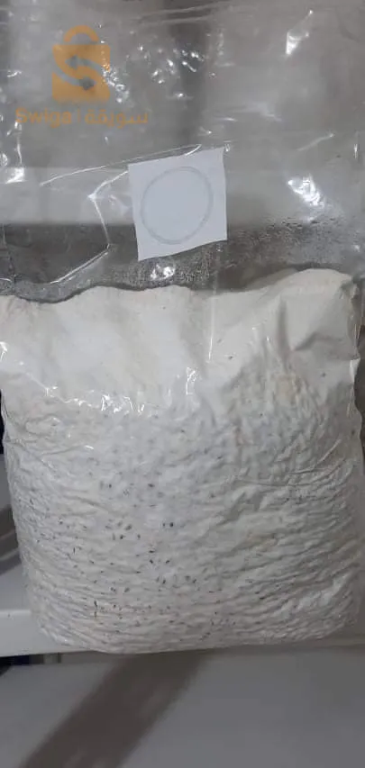 بذور الفطر