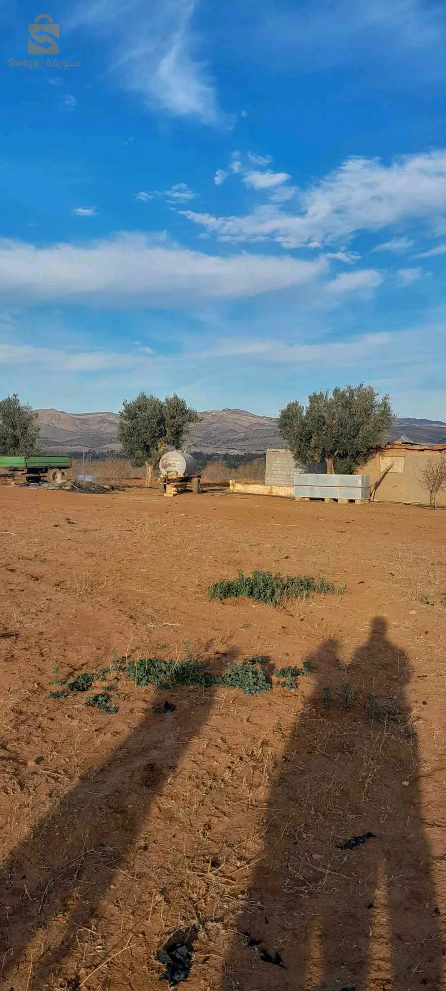 ارض فلاحية للبيع في تلمسان الرمشي مساحتها 20 هكتار بالعقد و الدفتر العقاري