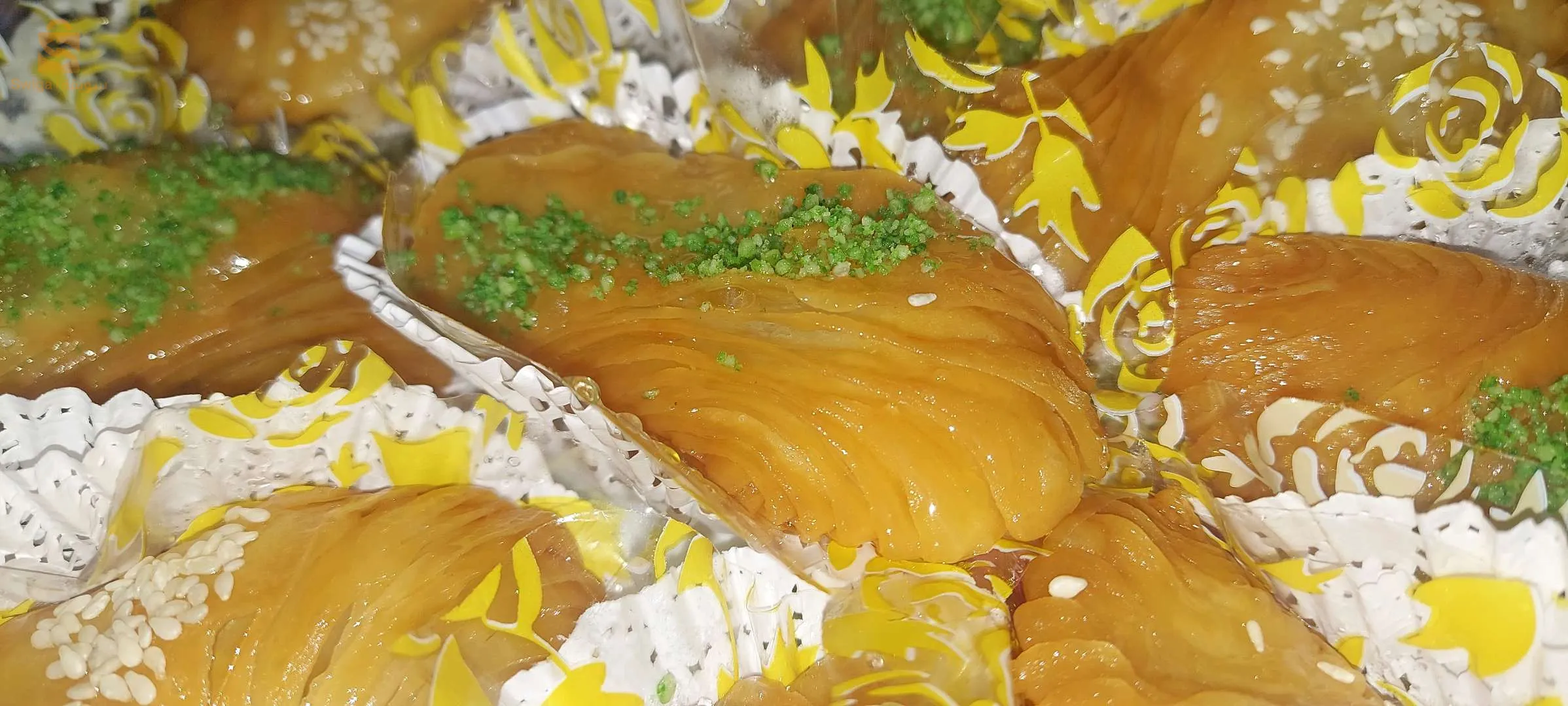 حنيفيات  (قروش المروحة )