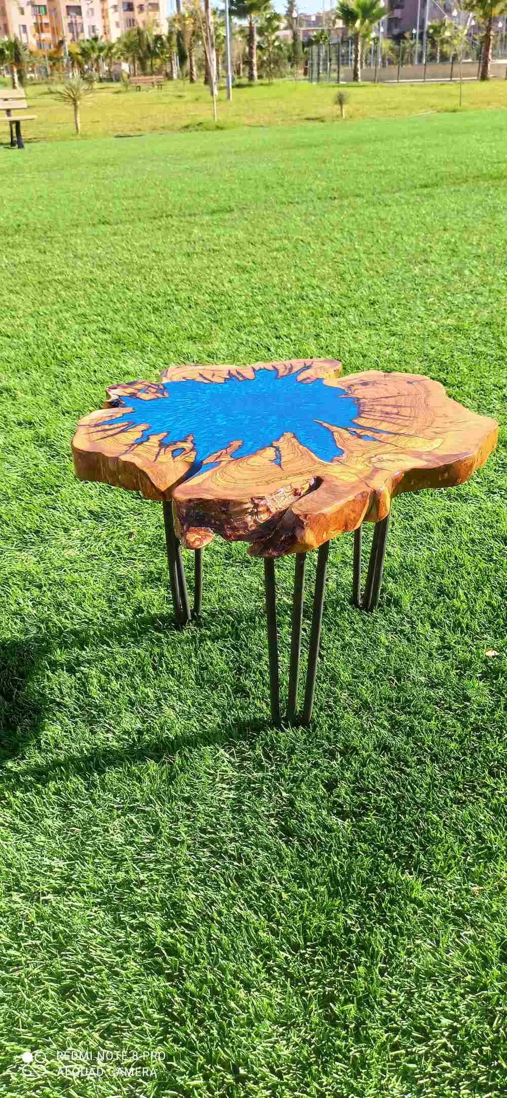 الجزائر