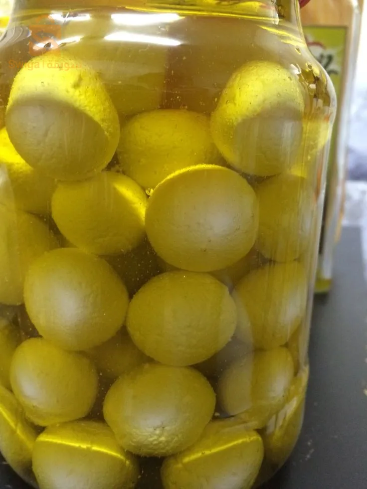 بوقاعة سطيف