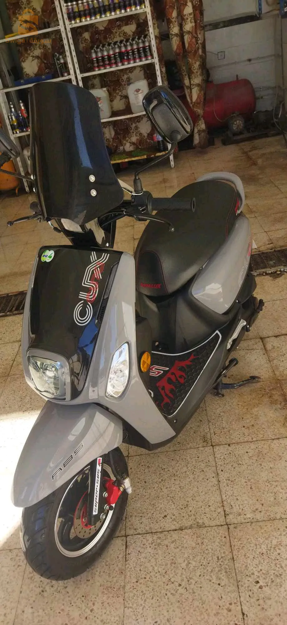 كوكسي     2،( 2021 )